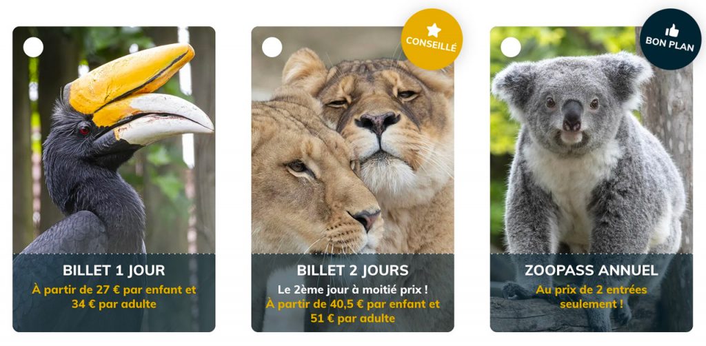 Zoo de Beauval Billets, Tarifs, Adresse, Horaires et Activités