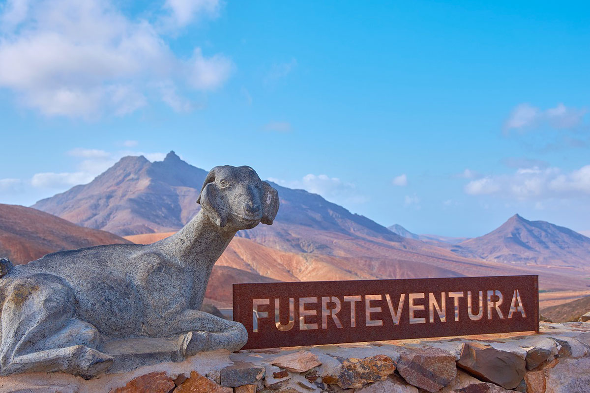 Que faire à Fuerteventura ?