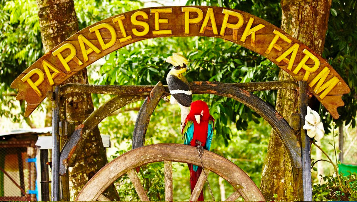 paradise park farm
