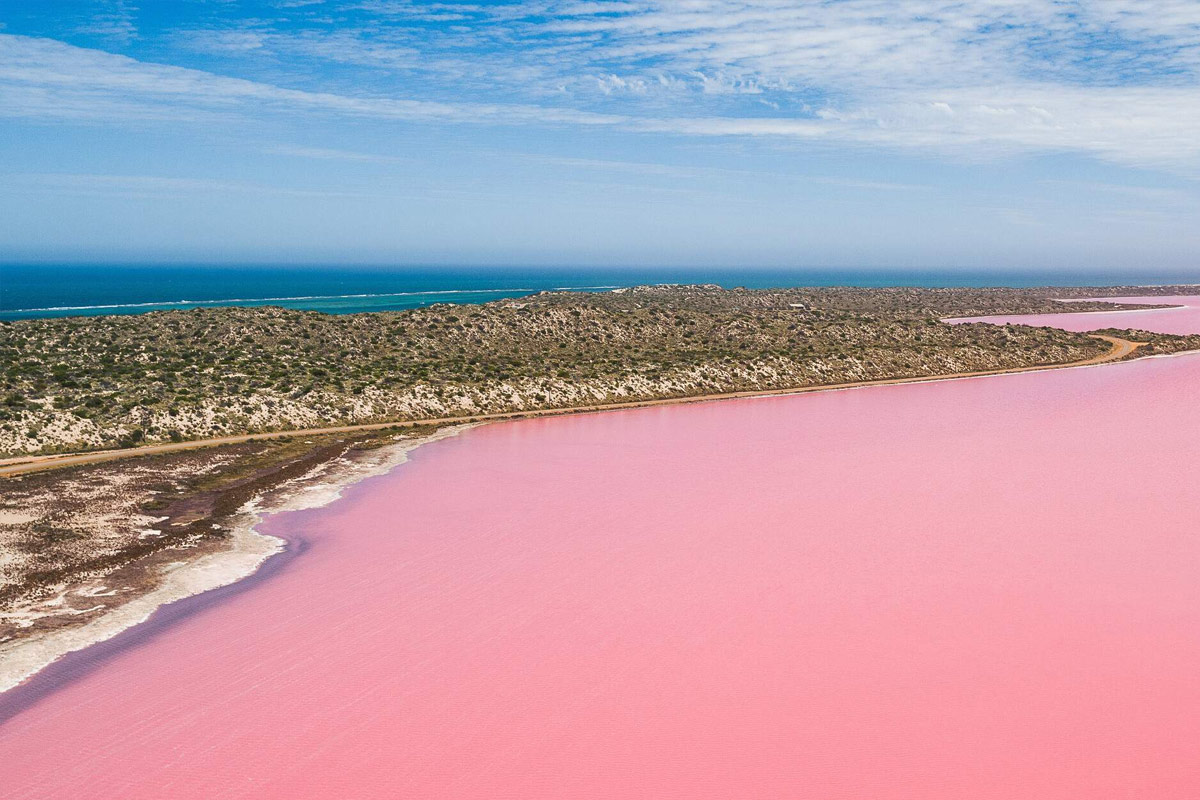 Lac rose en Australie