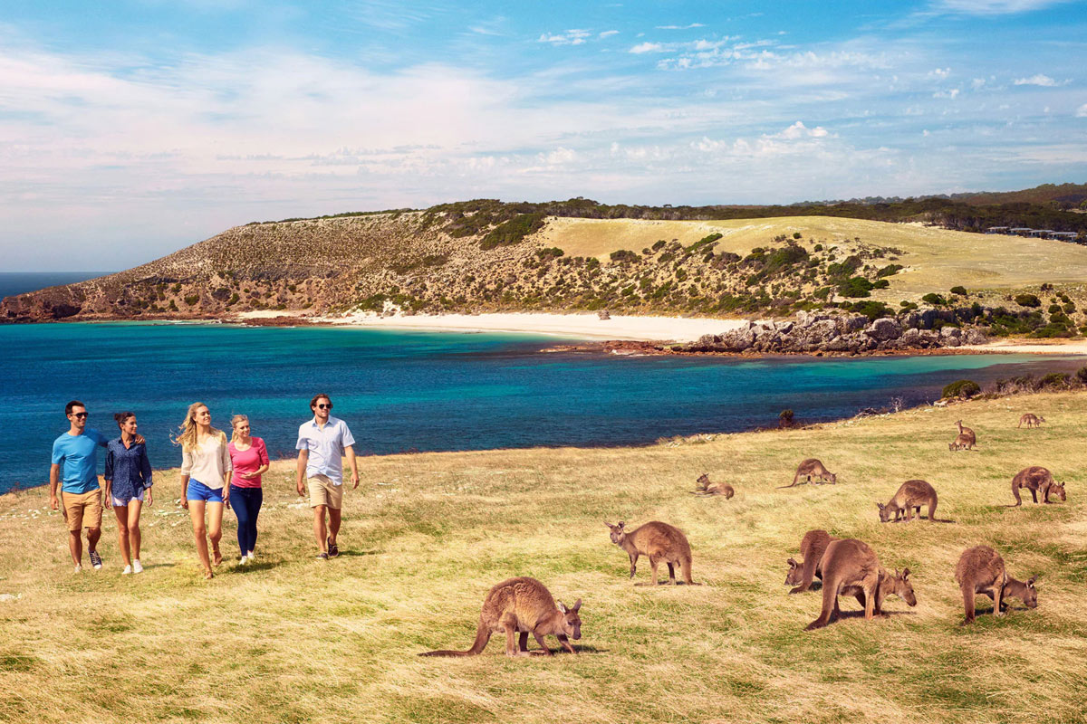visite kangaroo island