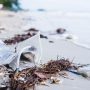 plage polluee