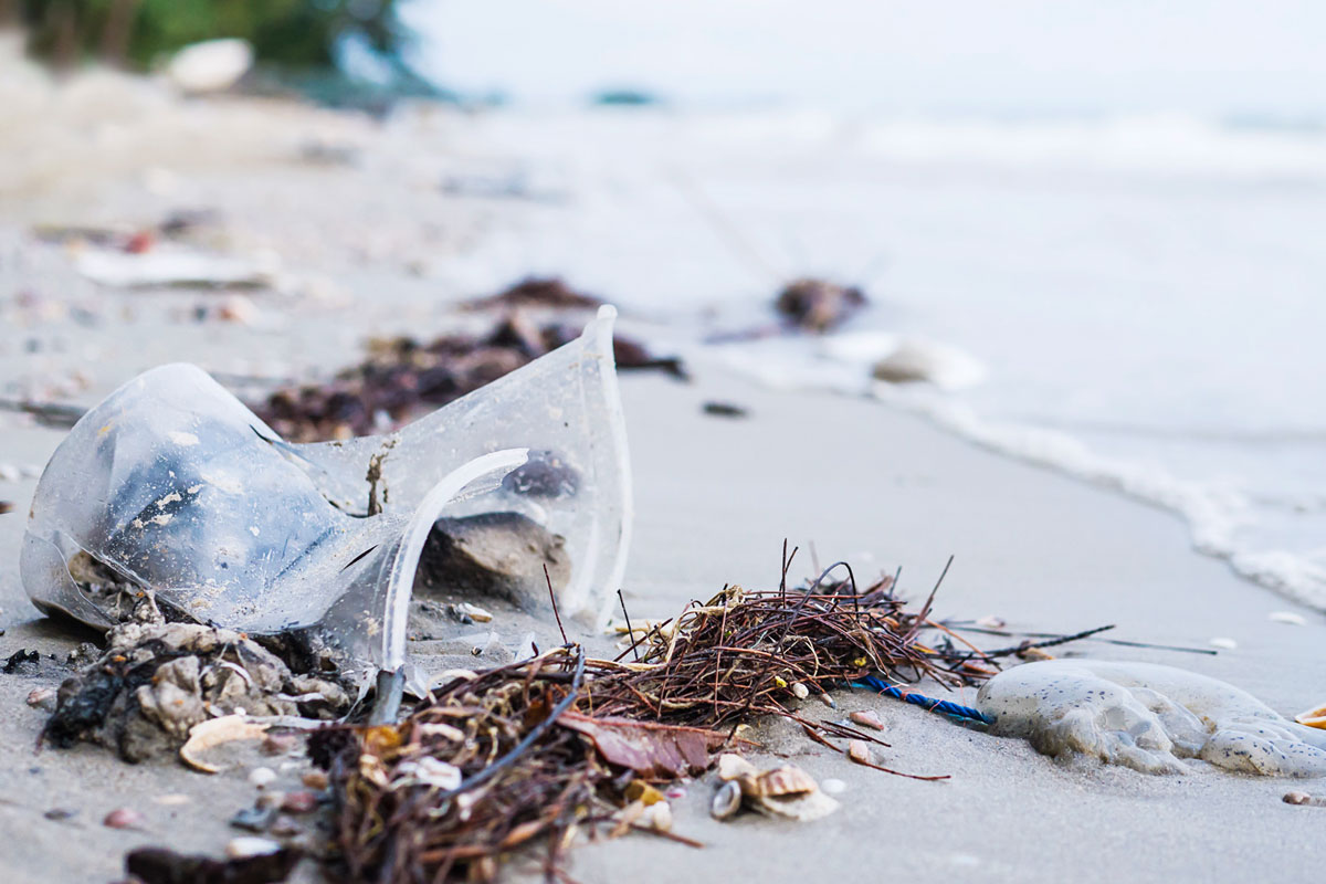 plage polluee