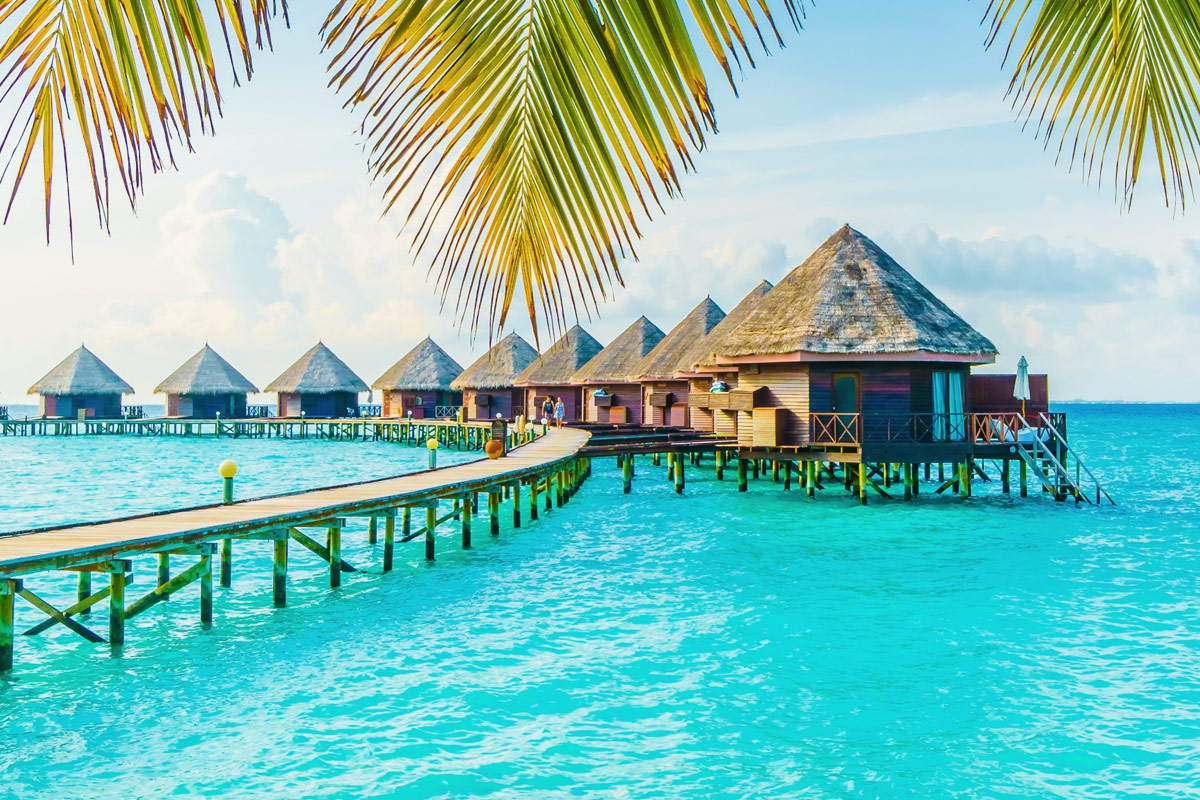 logements bora-bora
