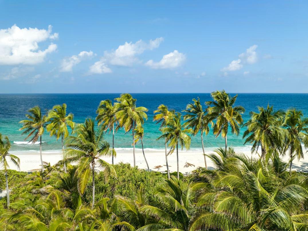 martinique plage