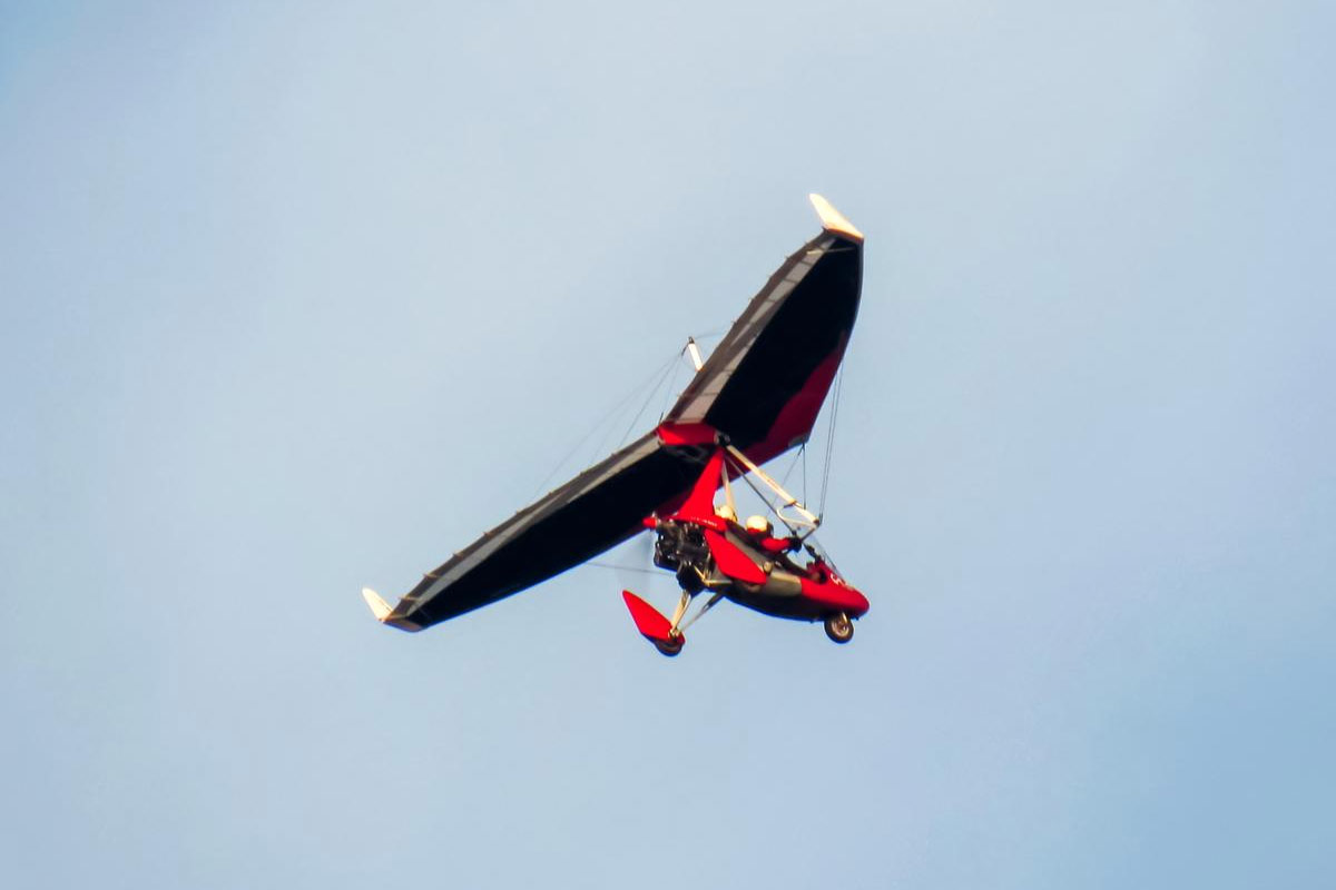 ulm rouge